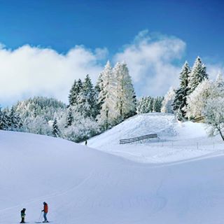 instagram @veggiehotels