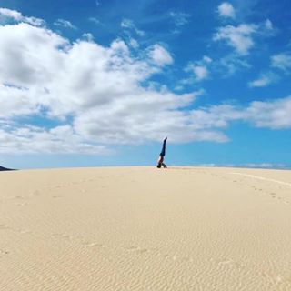 instagram @veggiehotels