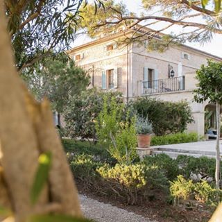 instagram @veggiehotels