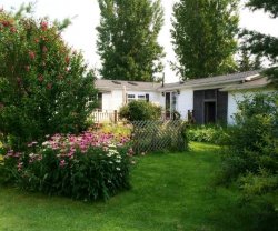 The Ginger Cat Bed and Breakfast, New York, Rock Stream