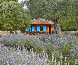 GROUND ALL AROUND - VEGAN-VEGETARIAN RESORT, Istrien, Rovinj